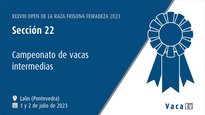 Campeonato de vacas intermedias