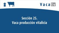 Sección 25. Vaca en producción con una lactación vitalicia de 65.000 kg o más