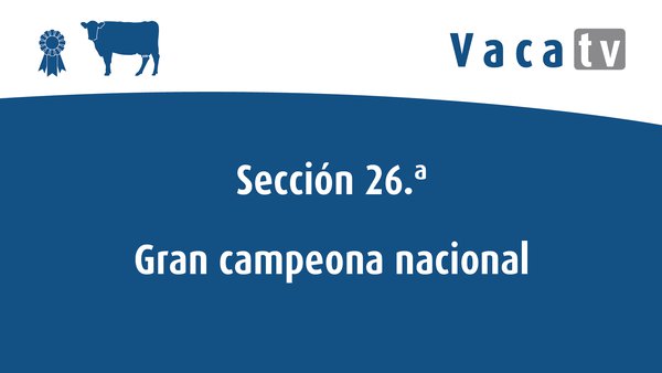 Vaca gran campiona nacional
