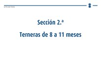 Xatas de 8 a 11 meses e de 12 a 15 meses
