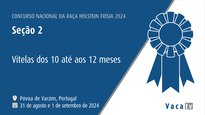 Xatas de 10 a 12 meses