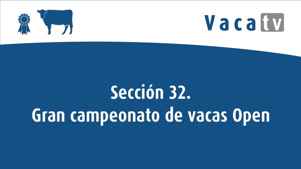 Sección 32. Gran campionato de vacas Open Feiradeza 2022