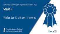 Xatas de 13 a 15 meses