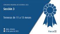 Sección 3: Terneras de 11 a 13 meses