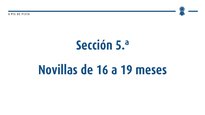 Xovencas de 16 a 19 meses