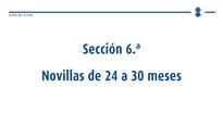 Xovencas de 24 a 30 meses