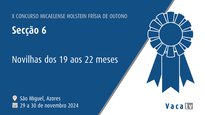 Xovencas de 19 a 22 meses