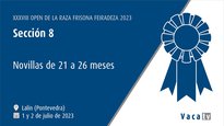 Novillas de 21 a 26 meses