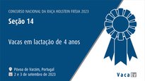 Vacas en lactación de 4 años