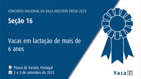 Vacas en lactación de más de 6 años
