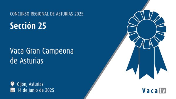 Sección 25: Vaca gran campeona de Asturias