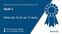 Terneras de 10 a 12 meses