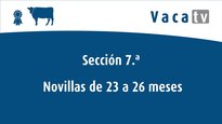 Sección 7.ª: xovencas 23 a 26 meses