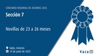Sección 7: Novillas de 23 a 26 meses
