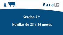 Sección 7. Xovencas de 23 a 26 meses