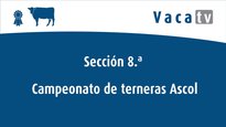 Seccións 8 e 10. Campionatos de xatas e xovencas Ascol