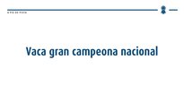Vaca Gran Campiona