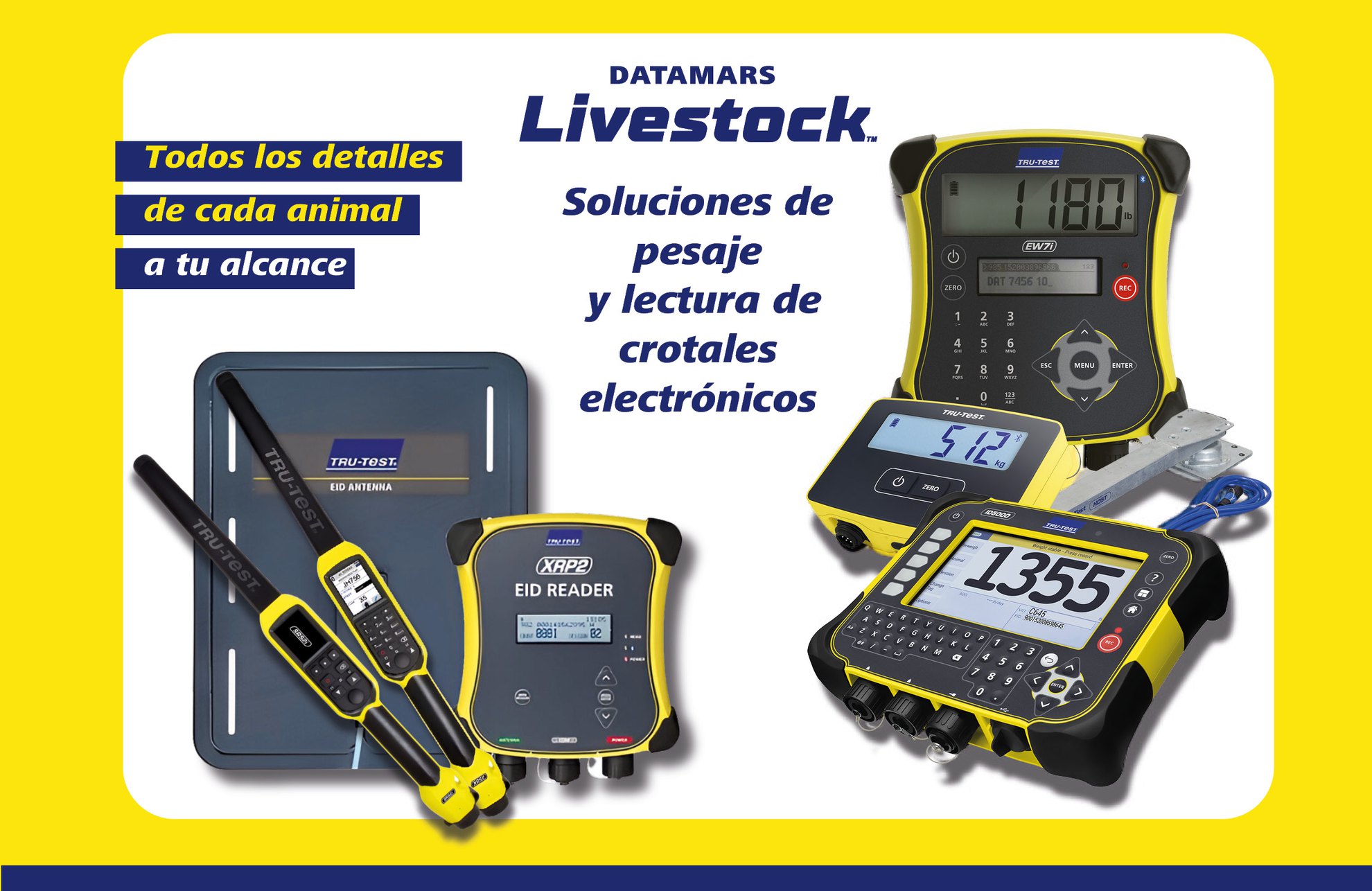 Datamars Livestock ofrece soluciones de pesaje y lectura de crotales electrónicos